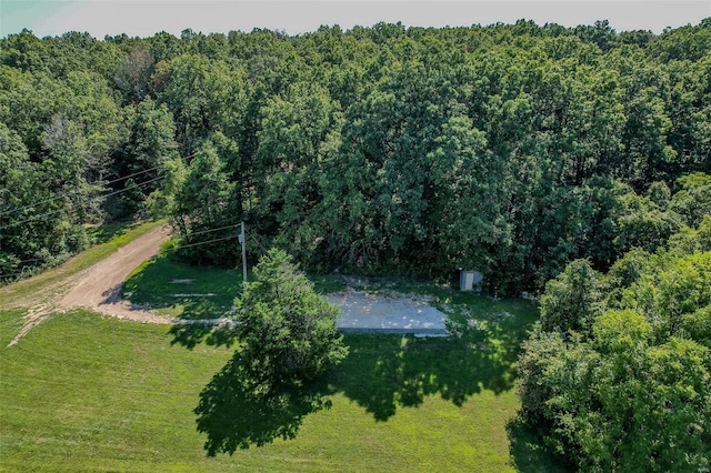 28 Acacia Dr, Conway, MO 65632 - drone / aerial view of a forest