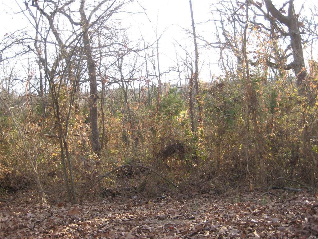 100 Kennett St, De Soto, MO 63020 - photo 1