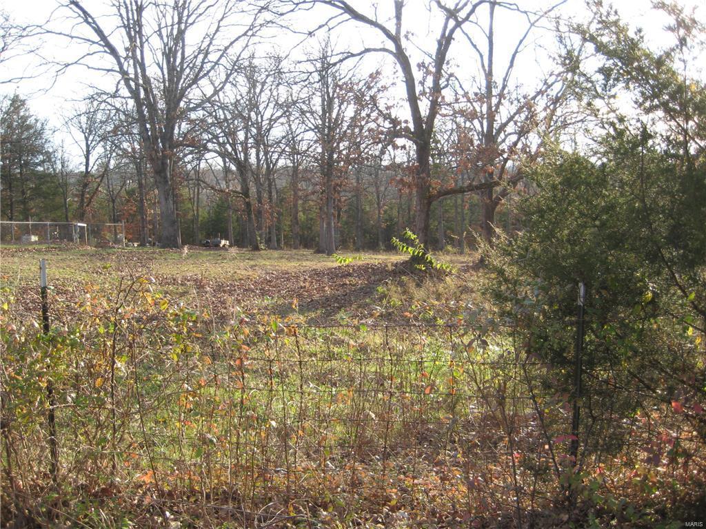 100 Kennett St, De Soto, MO 63020 - photo 2