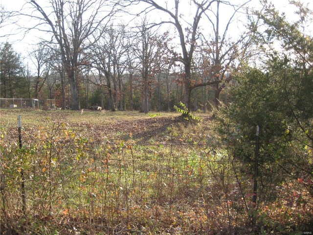 100 Kennett St, De Soto, MO 63020 - photo 2