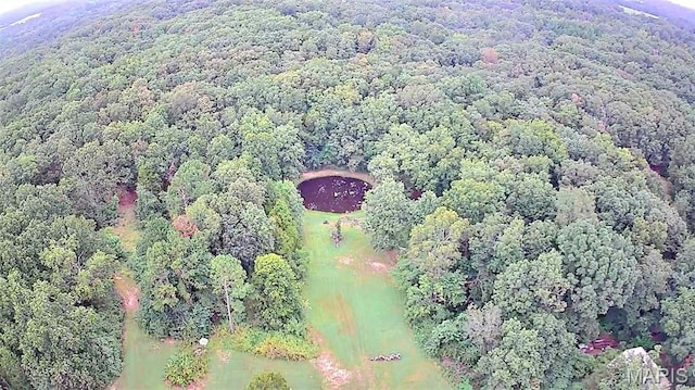 6229 State Highway 32, Farmington, MO 63640 - photo 3