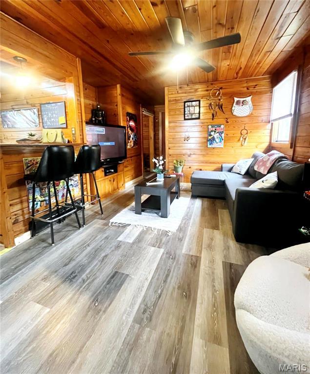 6229 State Highway 32, Farmington, MO 63640 - photo 21