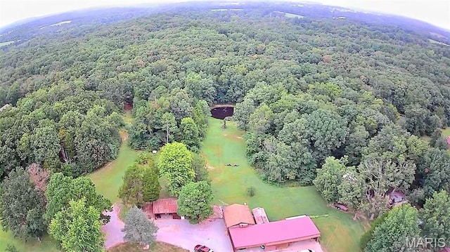 6229 State Highway 32, Farmington, MO 63640 - photo 45