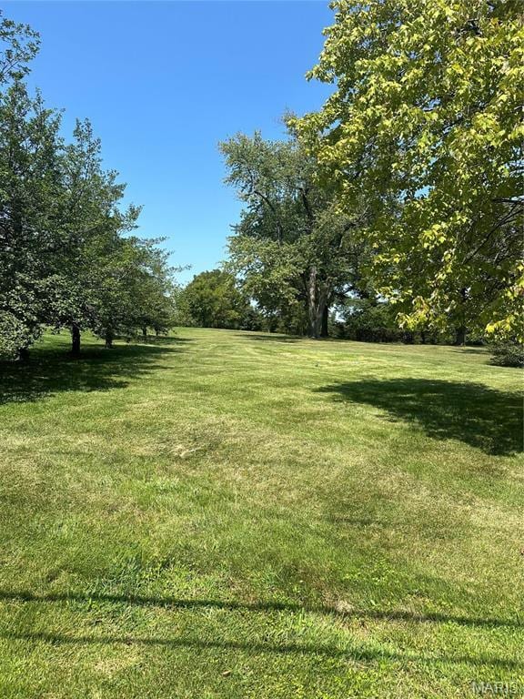 10315 Kennerly Rd, Sunset Hills, MO 63128 - photo 3