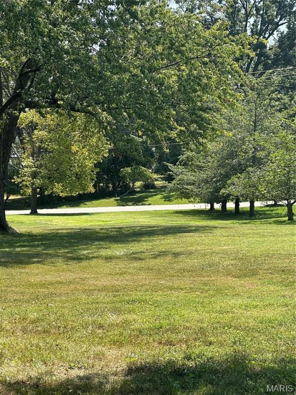 10315 Kennerly Rd, Sunset Hills, MO 63128 - photo 4