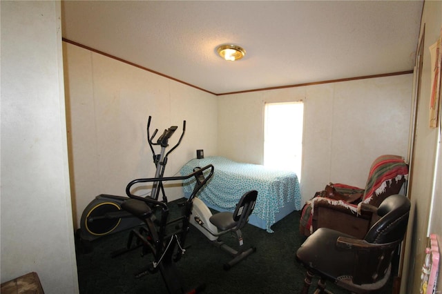 12433 State Route 101, Caulfield, MO 65626 - exercise area with crown molding and carpet