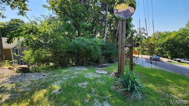 1828 Lionheart Ct, Marthasville, MO 63357