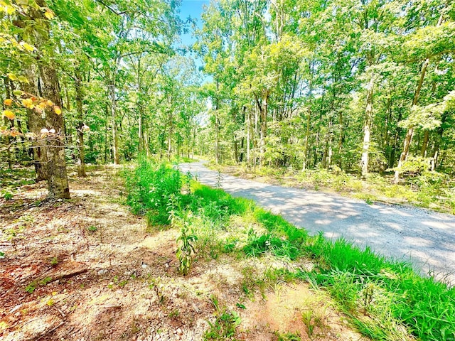 15 Aspen Trail Dr, Potosi, MO 63664