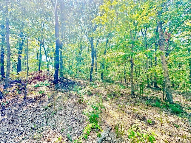 15 Aspen Trail Dr, Potosi, MO 63664