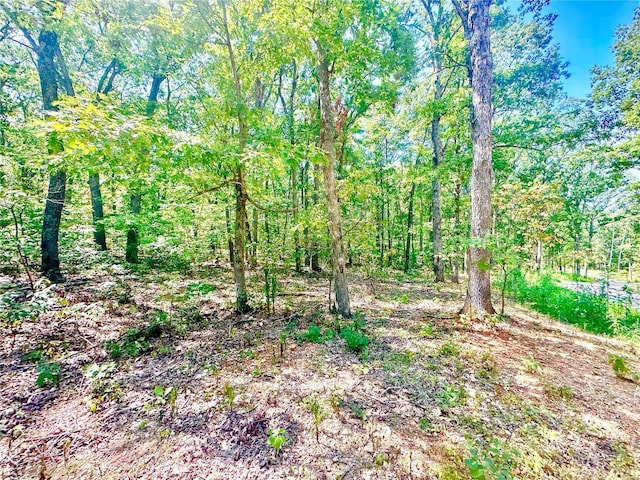 15 Aspen Trail Dr, Potosi, MO 63664