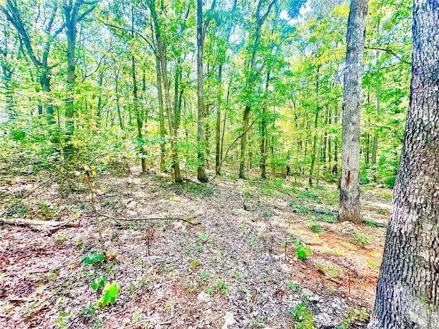 15 Aspen Trail Dr, Potosi, MO 63664