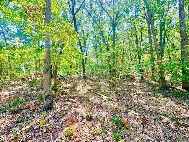 15 Aspen Trail Dr, Potosi, MO 63664
