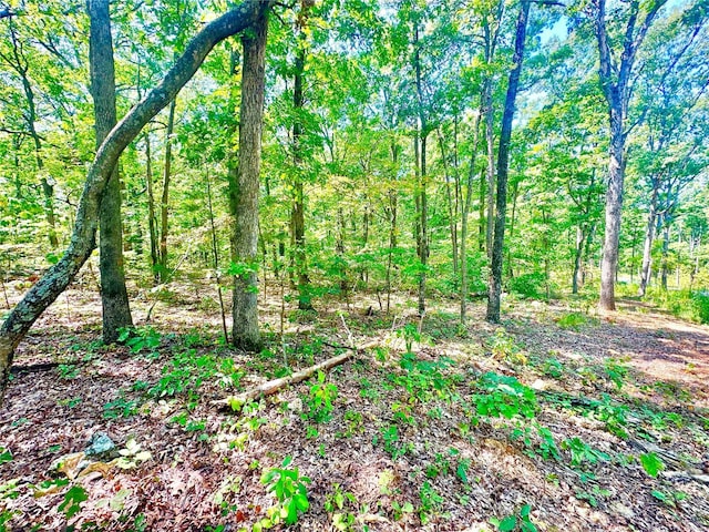 15 Aspen Trail Dr, Potosi, MO 63664