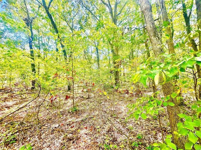 15 Aspen Trail Dr, Potosi, MO 63664