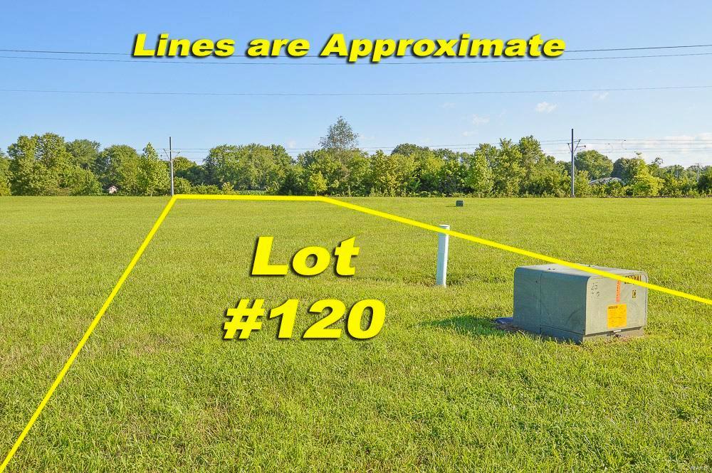 2069 Camrose Green St, Belleville, IL 62220 - photo 2