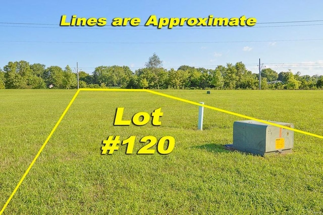 2069 Camrose Green St, Belleville, IL 62220 - photo 2