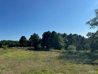 1742 Date Dr, Summersville, MO 65571 - view of undeveloped land