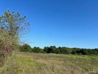 1742 Date Dr, Summersville, MO 65571 - view of local wilderness