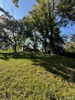 1742 Date Dr, Summersville, MO 65571 - view of green lawn