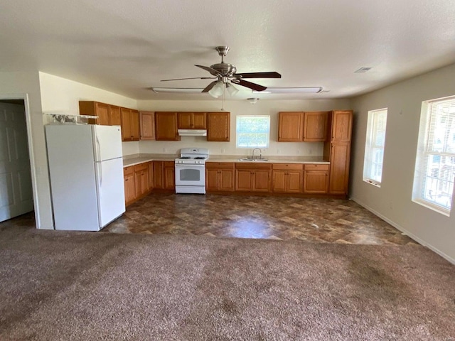 37 County Road 343, Benton Township, MO 65626 - kitchen featuring white appliances, a sink, under cabinet range hood, and plenty of natural light