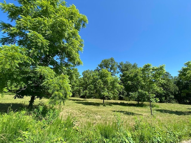 37 County Road 343, Benton Township, MO 65626 - view of tree filled area