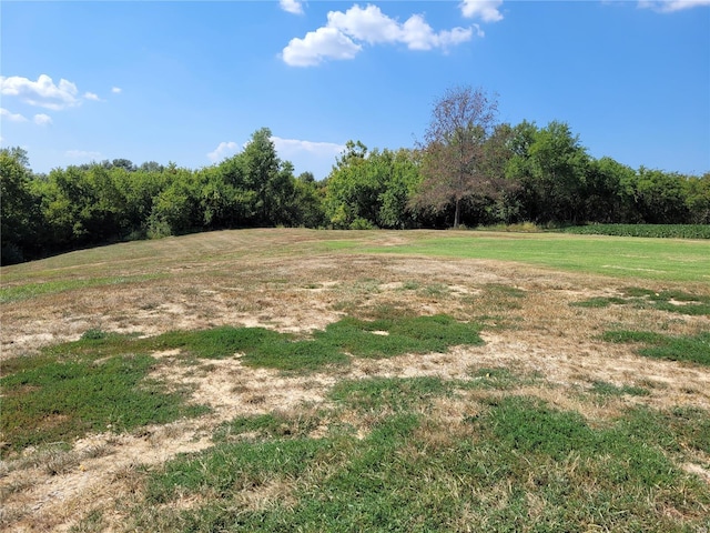 10359 Bounds Rd, Shipman, IL 62685 - view of grassy yard with a wooded view