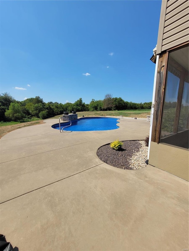 10359 Bounds Rd, Shipman, IL 62685 - swimming pool with a patio