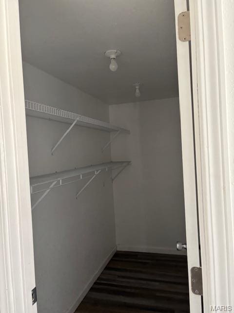 1439 N Spanish St, Cape Girardeau, MO 63701 - spacious closet with dark wood finished floors