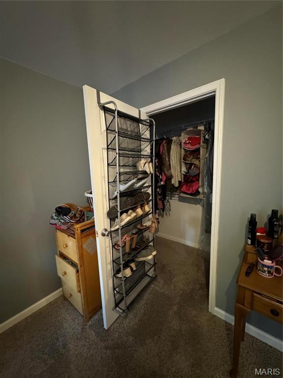 spacious closet with carpet floors