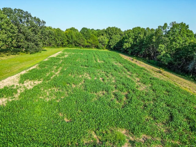 900 Dillworth, Lebanon, MO 65536 - photo 51
