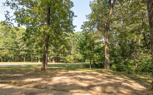 view of yard featuring a view of trees