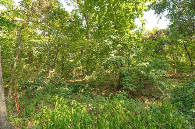 view of tree filled area