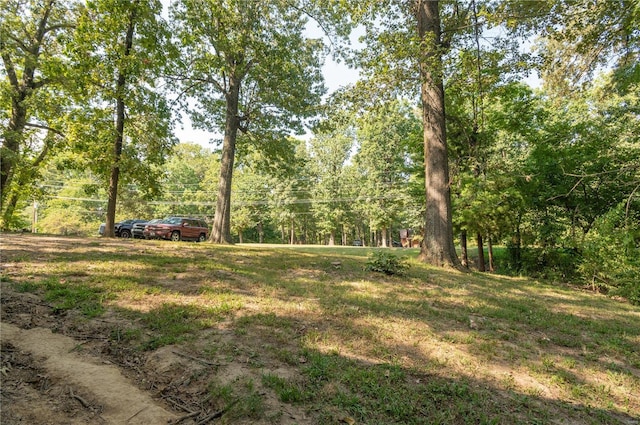 view of yard with a view of trees