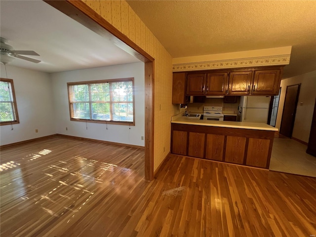 kitchen featuring freestanding refrigerator, white range with electric cooktop, wood finished floors, ceiling fan, and healthy amount of natural light