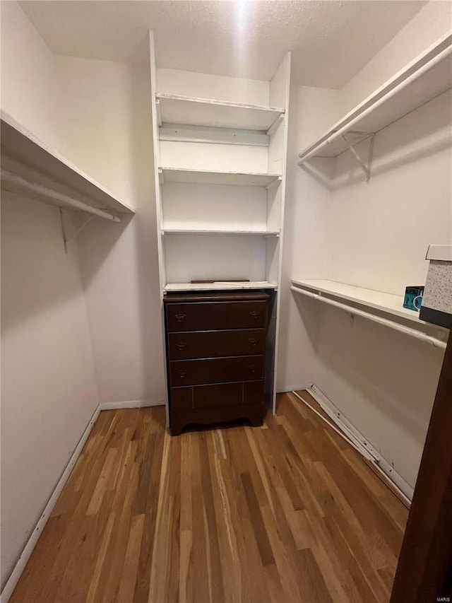 walk in closet featuring wood finished floors