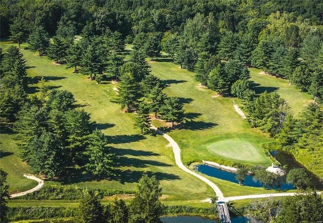 149 SE 450th Ave, Carrollton, IL 62016 - drone / aerial view of a large body of water, a forest, and a golf course
