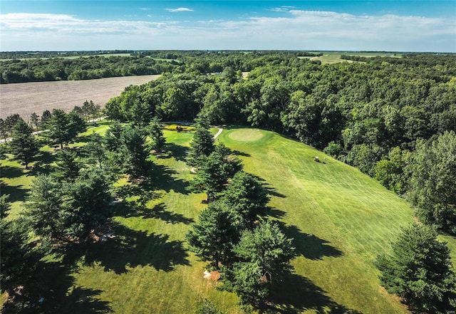 149 SE 450th Ave, Carrollton, IL 62016 - aerial view of property's location featuring a forest
