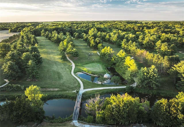 149 SE 450th Ave, Carrollton, IL 62016 - aerial view of property's location with a nearby body of water
