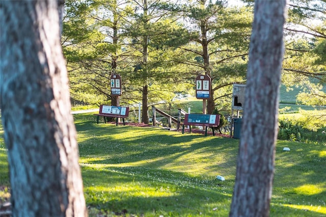149 SE 450th Ave, Carrollton, IL 62016 - view of grassy yard