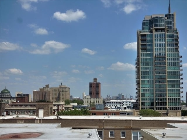 14 N Kingshighway Blvd Unit 7 4Bs, Saint Louis, MO 63108 - view of city