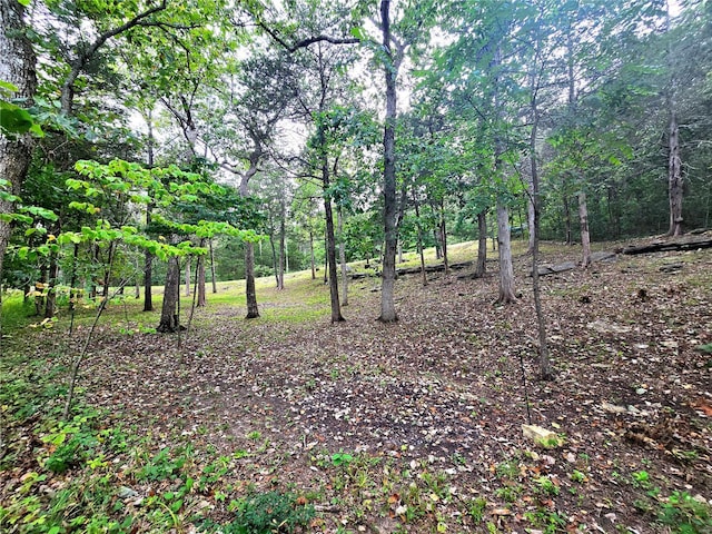 1051 S Lakeview Dr, De Soto, MO 63020 - photo 22