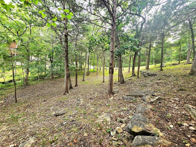 1051 S Lakeview Dr, De Soto, MO 63020 - photo 23