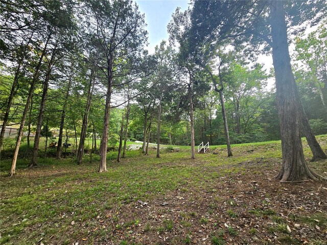 1051 S Lakeview Dr, De Soto, MO 63020 - photo 26