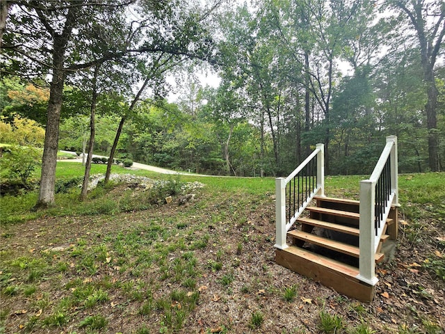 1051 S Lakeview Dr, De Soto, MO 63020 - photo 27