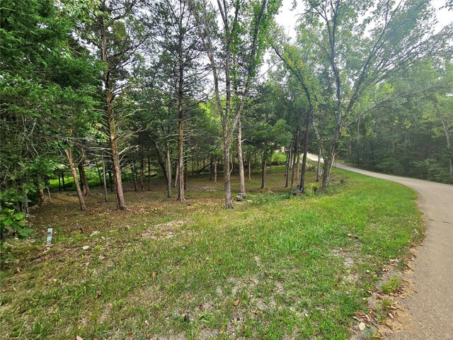 1051 S Lakeview Dr, De Soto, MO 63020 - photo 29