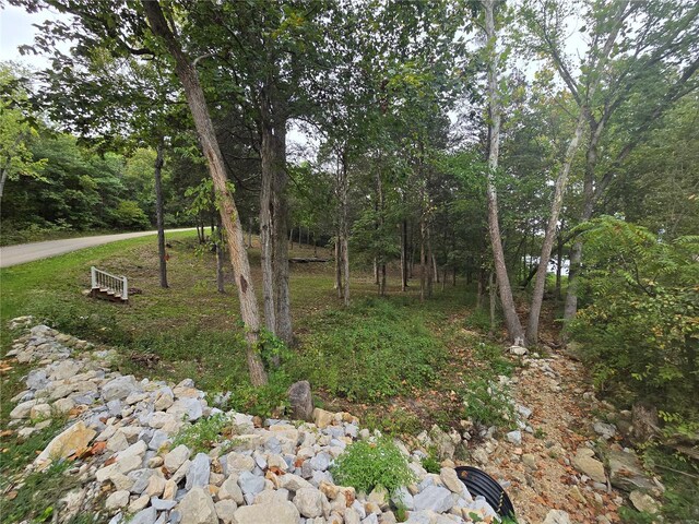 1051 S Lakeview Dr, De Soto, MO 63020 - photo 30