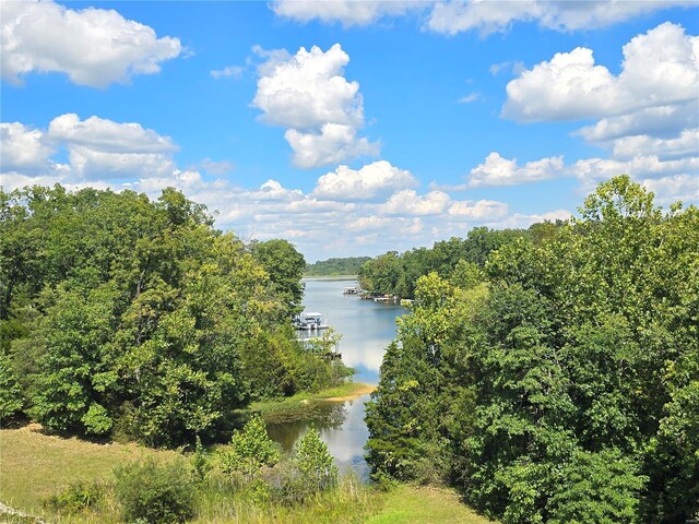 1051 S Lakeview Dr, De Soto, MO 63020 - photo 33