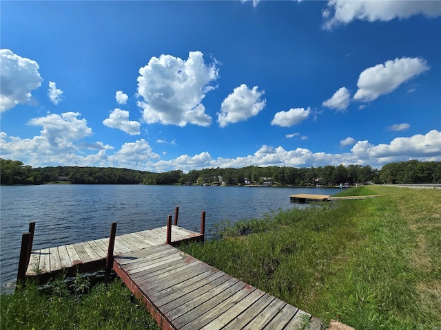1051 S Lakeview Dr, De Soto, MO 63020 - photo 2