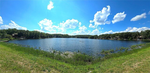 1051 S Lakeview Dr, De Soto, MO 63020 - photo 5