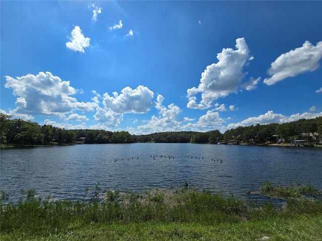 1051 S Lakeview Dr, De Soto, MO 63020 - photo 7